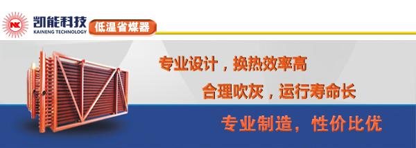 电厂低温省煤器制造厂家凯能科技