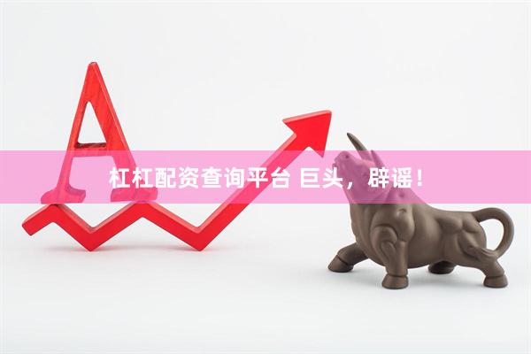 杠杠配资查询平台 巨头，辟谣！