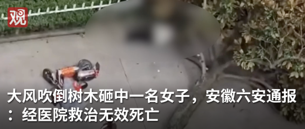 配资网大全 为什么选出美国籍教皇？梵蒂冈消息人士：还不是因为特朗普