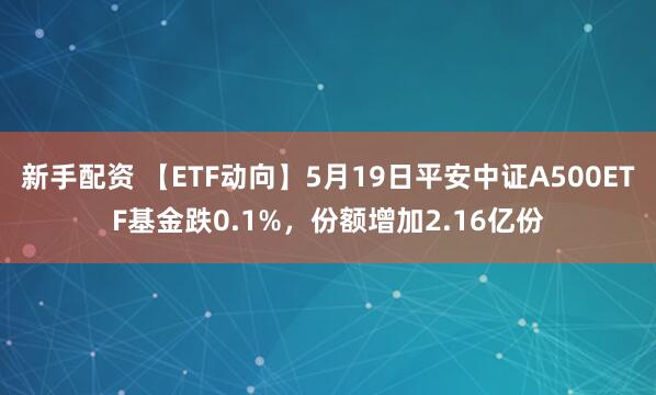 新手配资 【ETF动向】5月19日平安中证A500ETF基金跌0.1%，份额增加2.16亿份