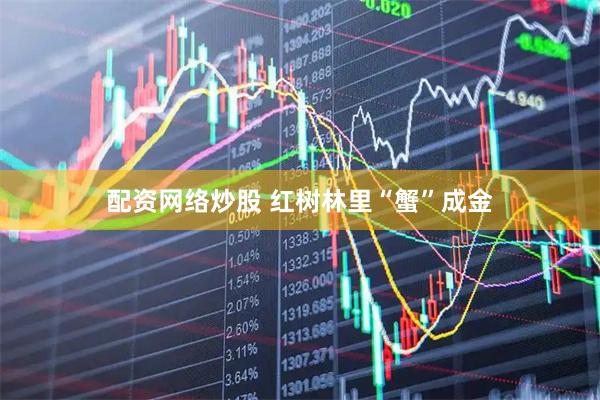 配资网络炒股 红树林里“蟹”成金
