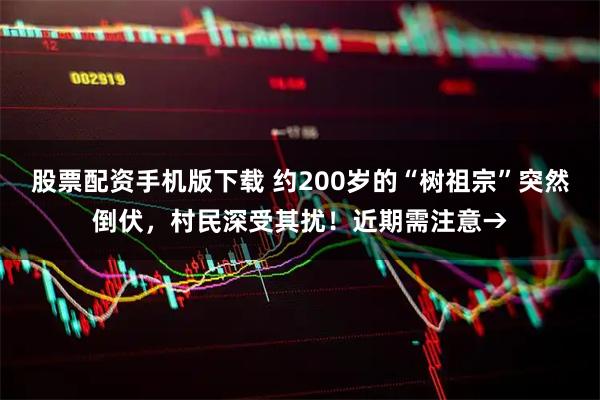 股票配资手机版下载 约200岁的“树祖宗”突然倒伏，村民深受其扰！近期需注意→