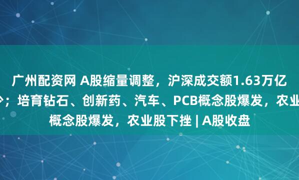 广州配资网 A股缩量调整，沪深成交额1.63万亿元，个股涨多跌少；培育钻石、创新药、汽车、PCB概念股爆发，农业股下挫 | A股收盘